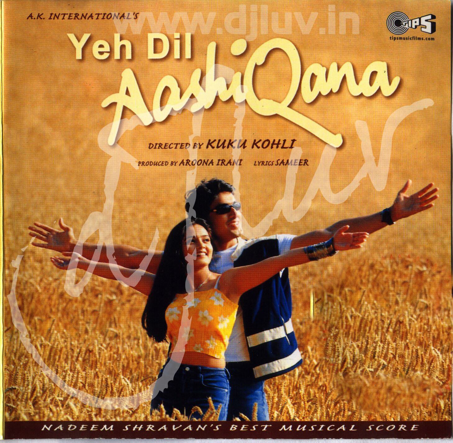 Yeh Dil Aashiqana Full Movie